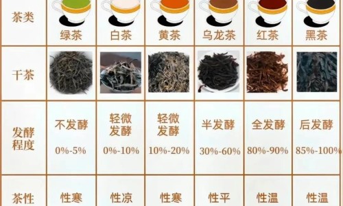 脸上突然出现很多痘痘什么原因-脸上突然长了很多黑痣什么原因引起的网 - 脸上突然起痘痘什么原因造成的,脸上突然出现很多痘痘什么原因